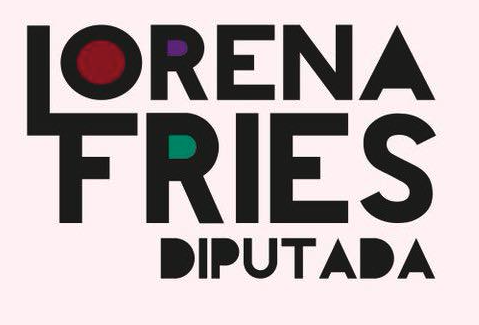 Diputada Lorena Fries